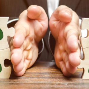 Distribuição de Lucros 2026